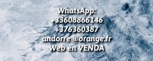 El mundo de la telefonía móvil es uno de los más amplios y competidos, con decenas de fabricantes que fabrican cientos de celulares para abastecer los gustos y necesidades de la población mundial. Desde los teléfonos de clase básica o de entrada hasta los de gama baja, media y alta, se estima que más del 90% de los habitantes del planeta cuentan con un teléfono celular. ¿Cuáles son las principales marcas de celulares y cuáles son sus principales smartphones? En este post te presentamos las 17 marcas de celulares más relevantes del mundo actual. Consulta precios y reseñas reales de los usuarios que te serán bastante útiles para hacer una buena elección dando clic aquí. 1. Samsung El Galaxy S6 Edge es, junto con el Galaxy S6, el actual buque insignia de Samsung.   Gracias a una flotilla de teléfonos con especificaciones, tamaños y precios tan variados como los gustos del público, Samsung se convirtió en la marca de teléfonos celulares más importante del mundo. La empresa de Corea del Sur fundada en 1938 se convirtió desde 2012 en líder en el mercado de teléfonos móviles, y también convirtió a Android en el sistema operativo móvil más utilizado del mundo. En 2014, Samsung acumulaba una cuota de mercado mundial del 32%. En junio de 2009 Samsung lanzó a la venta su teléfono Samsung Galaxy, que iniciaría la marca más famosa de la empresa y que en la actualidad tiene más de 73 teléfonos con distintas prestaciones, precios y tamaños.  La familia Galaxy S, cuyos teléfonos tienen las más altas especificaciones, son los que mayor fama tienen y de los que mayor expectación generan cada que lanzan un nuevo equipo, si acaso menor a la que Apple genera cada que anuncia un nuevo iPhone. No obstante, Samsung enfrenta una dura competencia de parte de empresas como Xiaomi, LG, Motorola y Apple, y en 2014 tuvo un descenso en sus ventas que pone en duda si podrá mantener su puesto como empresa líder mundial en telefonía en los años venideros. 2. Apple Apple crea una revolución en el mundo tecnológico con cada lanzamiento de su teléfono iPhone. La empresa con sede en Cupertino California, fundada en 1976 y fabricante de computadoras, lanzó su propio teléfono por primera vez a mediados del 2007. Se le llamó iPhone y fue nombrado por la revista Time “el invento del año”. Desde entonces, Apple ha lanzado un total de 10 smartphones y cada uno ha supuesto una revolución en el mercado de la telefonía móvil. Antes de Apple, las empresas electrónicas no tenían demasiado interés en construir teléfonos con pantalla táctil completa, que ahora son el estándar en todo el mundo. Apple produce sus teléfonos iPhone con un sistema operativo exclusivo, iOS, que actualmente es el segundo más utilizado del mundo, por detrás de Android, que fue creado por Google. Apple es también la segunda empresa más importante del mundo en fabricación de teléfonos celulares y 2014, según datos de la firma Counterpoint, 28 de cada 100 teléfonos del mundo eran iPhone. Hasta la fecha, el smartphone más exitoso de Apple es el iPhone 6, lanzado en octubre de 2015 y que fue fabricado en dos modelos, iPhone 6 con pantalla de 4.7 pulgadas y iPhone 6 Plus con un panel de 5.5 pulgadas. Estos dos teléfonos vendieron cerca de 70 millones de unidades en los últimos tres meses del 2014.  No te pierdas la oportunidad de obtener un descuento de hasta el 50% en la compra de un iPhone, simplemente da clic aquí y elige tu modelo favorito. 3. Xiaomi Xiaomi pasó de ser una desconocida a ser la tercera marca de celulares más grande del mundo. Fundada en 2010, en sólo cinco años pasó de ser una desconocida a convertirse en la principal amenaza a Samsung en China, donde dominaba el sector. Con teléfonos muy baratos y buena calidad de construcción, como el Red Rice, lanzado en 2013 a un precio de 130 dólares, el sobresaliente Mi4, de 2015 y el asequible Redmi 2 de 2015, Xiaomi es actualmente la empresa de reciente creación más valiosa del mundo, sobrepasando incluso a Pinterest. Nació en China y se centró en ocho países asiáticos para posicionar sus celulares, y después comenzó su expansión a otros países, como México, Rusia y Turquía. Estados Unidos es su siguiente meta, un país dominado por Apple y Samsung. 4. Huawei Huawei es una de las empresas de telefonía con más rápido crecimiento en el mundo. Huawei fue en 2014 la cuarta empresa con más ventas de teléfonos celulares en todo el mundo, por detrás de Samsung, Apple y Xiaomi y superando a Lenovo y LG. Sus principales mercados son Asia y África, aunque Latinoamérica comienza a ser también una importante zona para la empresa, donde en 2014 acrecentó sus ventas de smartphones en 275%. La empresa tiene planes de llegar a superar a Apple, y su último teléfono presentado, justo en la recién terminada IFA 2015 de Berlín, es el Huawei Mate S, una phablet con pantalla de 5.5 pulgadas, Android y pantalla Force Touch, característica introducida por Apple para su primer smartwatch. 5. Lenovo Lenovo es la quinta de las marcas de celulares más importante del mundo. Lenovo es la compañía que en 2014 compró Motorola, pero la empresa fundada en Hong Kong y fabricante número uno del mundo de computadoras también fabrica sus propios teléfonos. Según la firma Counterpoint, Lenovo es la quinta de las marcas de celulares más importantes del mundo, y es en Asia donde tiene su mayor mercado. En marzo de 2015 Lenovo renovó su línea de celulares con el Lenovo Vibe Shot y el Lenovo A7000 -en la foto- dos smartphones orientados a actividades multimedia. No obstante, los celulares Lenovo no se venden fácilmente en América, pues la empresa apuesta por promover la marca Motorola en su lugar. 6. LG LG compite fuerte en Norteamérica y América Latina, pero se desdibuja en Asia. 5% del mercado mundial son teléfonos LG. En Norteamérica y Latinoamérica es la tercera marca más vendida después de Apple y Samsung, si bien su competencia más dura la vive en Asia, donde el mercado se lo dividen otras marcas de celulares como Samsung, Xiaomi y Lenovo. Los teléfonos inteligentes de LG trabajan con el sistema operativo Android, y tiene dos gamas de productos claramente diferenciables. Mientras que los celulares LG G son considerados los equipos de más alta gama, mejores prestaciones y mayor precio, la marca LG L se destina a teléfonos menos potentes y más baratos. 7. Sony Comenzó a fabricar celulares con la marca Sony Ericsson, pero ahora sus smartphones son simplemente Sony. La empresa japonesa fabricante de electrónica de consumo, fundada en 1946, decidió en 2001 comenzar a fabricar teléfonos celulares. Lo hizo a través de una alianza con la división móvil de la compañía sueca Ericsson y crearon la marca Sony Ericsson, con la que lanzaron varios modelos de celulares dedicados al multimedia. En 2012 Sony Ericsson pasó a llamarse Sony Mobile Communications y lanzó la gama de celulares Xperia, que trabajan con el sistema operativo Android. Los actuales buques insignia de Sony son los smartphones Xperia Z5 y Xperia Z5 Premium, presentados en la IFA 2015, y que han generado expectativa, sobre todo porque el Sony Xperia Z5 Premium es el primer teléfono del mundo en incluir una pantalla 4K. Sony figuró en 2014 como la quinta marca de teléfonos con mayor presencia en Europa, si bien su presencia en el resto de los continentes se ve eclipsada frente a marcas como Samsung, Apple y LG. 8. Nokia Nokia fue líder global por muchos años, ahora busca destacar como parte de Microsoft. Nokia fue desde 1998 y hasta 2011 líder mundial en telefonía móvil, hasta que el embate de marcas como Samsung y su negación a adoptar el sistema operativo Android en sus teléfonos celulares provocaron su declive. En 2012 Nokia se alió con la empresa Microsoft para la producción de una nueva gama de celulares con Windows Phone, lo que inició una nueva era en la empresa y Windows Phone se convirtió en el tercer sistema operativo más utilizado del mundo, aunque con una cuota de mercado menor al 5%. En abril de 2014 Nokia vendió su división móvil a Microsoft, con lo que su gama de celulares Lumia pasó a ser fabricada por la empresa estadounidense, y Nokia se convirtió en una empresa de software y redes de telecomunicaciones. Sin embargo, en noviembre de 2014 Nokia lanzó su tablet Nokia N1 con Android, y hay quienes no descartan la posibilidad de que en un futuro Nokia fabrique de nuevo teléfonos celulares. 9. Microsoft Microsoft es ahora dueño de la división móvil de Nokia y sus gamas celulares, como Lumia. La empresa creadora de Windows, el sistema operativo más utilizado del mundo, compró en abril de 2014 la división móvil de Nokia y pasó a llamarse Microsoft Mobile Oy. Con sede en Finlandia, la división telefónica de Microsoft lanzó en noviembre del 2014 el Microsoft Lumia 353, el primer smartphone con la marca de la empresa  después de la compra de Nokia. Los teléfonos Microsoft utilizan el sistema operativo Windows Phone, si bien los teléfonos Asha y otros de gama básica usan sistemas basados en Java. 10. Motorola El Moto X Style fue lanzado recientemente como el nuevo buque insignia de Motorola. Motorola es la empresa que en 1983 inventó el primer teléfono celular del mundo. Líder durante las décadas de los 80 y 90, en agosto de 2011 fue comprada por Google e inició una transformación en el diseño de sus teléfonos. En 2013 Motorola lanzó el Moto X, primer celular bajo la dirección de Google, y en enero de 20014 la empresa fue vendida a Lenovo, que mantiene la línea que inició su anterior dueña. Los smartphones Motorola destacan por usar el sistema operativo Android en su estado puro, es decir, sin ninguna capa de personalización, como sí hace por ejemplo Samsung con la interfaz Touchwiz. 11. HTC HTC fue la primera marca de celulares en utilizar el sistema operativo Android. Una empresa de origen taiwanés que fue la primera en utilizar el sistema operativo Android en uno de sus teléfonos. El actual “buque insignia” de la empresa es el HTC One 8, aunque tiene una gama más económica, la HTC Desire. Los teléfonos de HTC destacan por poner énfasis en el audio, y generalmente incorporan dos bocinas estéreo que ofrecen un buen sonido. HTC también ha lanzado teléfonos con Windows Phone con buenos resultados, como el HTC 8X de 2012 y el HTC One M8 con Windows Phone. 12. BlackBerry BlackBerry estuvo al borde de la quiebra, ahora produce smartphones para el entorno empresarial. En la imagen, Priv, el que podría ser el primer BlackBerry con Android. El poderío de BlackBerry llegó a su máximo esplendor en 2011, cuando logró tener 3% de la cuota de mercado mundial, 14% de la estadounidense y 45% de la cuota de mercado en Latinoamérica, donde casi la mitad de los teléfonos inteligentes de sus habitantes eran BlackBerry. La compañía fue fundada en 1985 en Ontario, Canadá, y adquirió fama mundial por sus teléfonos con teclado QWERTY enfocados a la productividad. Sin embargo, a partir de 2012 comenzó su declive, y aunque se pensó que desaparecería, sus últimos teléfonos, BlackBerry Passport y BlackBerry Z3 han registrado buenas ventas en el entorno empresarial, a donde la empresa cambió su enfoque. Ahora la expectativa gira en torno al BlackBerry Priv, un teléfono con Android y teclado que podría dar un giro a la empresa. Los teléfonos BlackBerry trabajan con el sistema operativo BlackBerry OS, que en su última versión, la 10.3, permite también la instalación de aplicaciones de Android a través de la Amazon Appstore. 13. Asus ASUS es una de las marcas de celulares que promete mayor crecimiento en los próximos años. Asus es una empresa de electrónica fundada en Taiwán y una de las compañías más importantes del mundo en la fabricación de tarjetas madre para computadoras. Fundada en 1989, en los últimos años ha destacado por lanzar tabletas y celulares con características innovadoras, como su gama de tablets Asus Transformer que puede convertirse en laptop con un teclado removible. Los últimos celulares de esta marca, Asus Zenfone 2 y Asus Zenfone Zoom, lanzados a comienzos del 2015, tienen prestaciones de alta gama, fabricación de calidad y un precio de alrededor de $200 dólares, lo que promete ventas de millones de equipos. Aunque Asus no está presente aún en México, la marca evalúa la posibilidad de presentar su Zenfone en ese país para el 2015. 14. ZTE ZTE fabrica teléfonos de alta gama a precios muy competitivos. Otra de las empresas asiáticas con ganas de comerse el mundo es ZTE. Sus teléfonos utilizan el sistema operativo Android, aunque también han sacado modelos con Firefox OS y Windows Phone. El ZTE Star 2, presentado en enero de 2015, es su actual buque insignia. ZTE ha enfocado sus esfuerzos en México como puerta de entrada hacia Latinoamérica, y actualmente es la quinta de las marcas de celulares más vendidas en México. Sus teléfonos TZE Blade, con capacidad de sintonizar TV análoga, han contribuido a su éxito. 15. Meizu Los teléfonos Meizu han vendido millones, aunque son criticados por imitar el diseño del iPhone de Apple. Una de las diez empresas tecnológicas más importantes de China, Meizu fue fundada en 2003 pero comenzó a tener presencia mundial cuando sus teléfonos, dotados de especificaciones sobresalientes pero con un diseño bastante parecido a teléfonos como iPhone y Galaxy Note, comenzaron a registrar ventas millonarias, en parte también a sus bajos precios, unos 200 dólares menos que los smartphones de gama alta de empresas como Samsung, Apple o Sony. El Meizu MX4 Pro, anunciado a finales de 2014, tuvo casi 8 millones de reservas en línea en sólo 10 días,  y el M1 Note, con un gran parecido al iPhone 5C y lanzado a un precio de $150 dólares, son algunos de los teléfonos que han ubicado a Meizu como una empresa fuerte con intenciones de brincar al resto del mundo. 16. Lanix Lanix es una marca mexicana que se está expandiendo en Latinoamérica. Lanix es una empresa fabricante de computadoras y teléfonos móviles fundada en México en 1990. Destacada por sus ventas de teléfonos de gama baja y media, en 2011 comenzó su expansión a otros países de Latinoamérica y a finales de 2014 lanzó su actual buque insignia, el Lanix Ilium S700 con chasis de aluminio y 16GB de almacenamiento interno. 17. Oppo OPPO busca diferenciarse del resto con teléfonos con diseños exclusivos, como los OPPO N1 y N3. OPPO Electronics es una empresa fundada en 20014 en China que ganó popularidad con su gama de smartphones OPPO Find. Esta compañía también es fabricante del OPPO N1, que fue presentado como el “primer smartphone en el mundo con una cámara rotatoria”, que puede moverse 206° para tomar selfies y fotografías normales con 13 megapíxeles. Según datos de la compañía, OPPO vendió alrededor de 30 millones de teléfonos en 2014 y espera vender 50 millones de celulares en el 2015.   Las opciones son muchas y para todos los gustos y bolsillos, te recomendamos leer las reseñas y comentarios de estas y otras marcas de celulares AQUÍ, donde podrás encontrar fotografías, descripciones y ofertas increíbles de las principales marcas de smartphones. TWITTER FACEBOOK GOOGLE + PINTEREST ANTERIOR ARTÍCULO Las 10 funciones más importantes de un líder SIGUIENTE ARTÍCULO Beneficios del sexo y romper la monotonía ARTÍCULOS SIMILARES Cómo rastrear un número celular sin perder los estribos Ene 1, 2018 0 32523 Sony ya no fabricará las cámaras del iPhone 7 May 21, 2016 0 12372 131 COMENTARIOS Guillermo Jun 7, 2015 at 4:58 pm Hola Si claro lo mejor es Samsung siempre!!!! Responder ricardo Abr 1, 2016 at 12:39 pm en realidad samsung tiene mucho marketing, no digo que no sean buenos, pero no son los mejores. Existen celulares con mejores componentes que samsung y con mejores prestaciones a nivel de software, lo que pasa es que la gente no compraria un huawei o un asus o en su defecto un zte que tenga el mismo valor monetario que samsung. Las tres marcas que te nombre tienen mejores componentes que samsung en sus smartphones de alta gama. Solo hay que conocer un poco mas y no comprar marcas. Saludos Responder David Park May 6, 2016 at 3:33 pm no tengo idea de lo que estas hablando, y cr