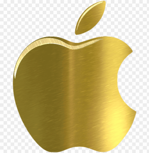 iPhone es una línea de teléfonos inteligentes de alta gama diseñada y comercializada por Apple Inc. Ejecuta el sistema operativo móvil iOS, conocido hasta mediados de 2010 como "iPhone OS". El iPhone dispone de cámara de fotos y un reproductor de música (equivalente al del iPod), además de software para enviar y recibir mensajes de texto y de voz. También ofrece servicios de Internet, como leer correo electrónico, cargar páginas web y conectividad por Wi-Fi. La primera generación de teléfonos eran GSM cuatribanda con la tecnología EDGE; la segunda generación incluía UMTS con HSDPA.;2​ la sexta generación ya incluía 4G LTE. La decimotercera generación comenzó a incluir soporte para redes 5G. Steve Jobs anunció públicamente el iPhone en la Macworld Conference & Expo el 9 de enero de 2007,3​ tras varios rumores y especulaciones que circulaban desde hacía meses.4​ El iPhone se introdujo inicialmente en los Estados Unidos el 29 de junio de 2007. Fue nombrado «Invento del año» por la revista Time en 2007.5​ El 11 de julio de 2008 salió a la venta el iPhone 3G, disponible en 22 países6​ y en 70 para finales de año. Esta versión soportaba la transmisión de datos por 3G a una velocidad más rápida y tecnología AGPS.2​ Para el evento WWDC 2009 se presentó el iPhone 3GS (S de Speed, velocidad), con el mismo diseño que el 3G, pero con hardware mejorado. El iPhone 3GS era hasta dos veces más rápido que su predecesor cargando páginas web o ejecutando aplicaciones, saca partido del estándar OpenGL ES 2.0 para ofrecer mejores gráficos 3D, soporta HSDPA a 7,2 MB (también conocido como 3.5G), cuenta con una nueva cámara de 3 megapíxeles con enfoque automático y grabación de vídeo, control por voz, brújula y soporte integrado para el Nike+iPod.[cita requerida] El 26 de junio de 2010 en la WWDC 2010 Apple presentó el iPhone 4, con un diseño renovado tanto estéticamente, abandonando su estética redondeada, como a nivel hardware. Contiene el SoC Apple A4, creado por Intrinsity y Samsung, que es el mismo que contiene el iPad , el Samsung Exynos 4210 al igual que el Samsung Galaxy S2), aunque reducido de frecuencia de trabajo, 512 MB de memoria RAM, un panel LCD IPS de alta resolución autodenominado Retina Display, 2 cámaras, una de 5 megapixeles con opción para grabar en HD 720p y la otra VGA.